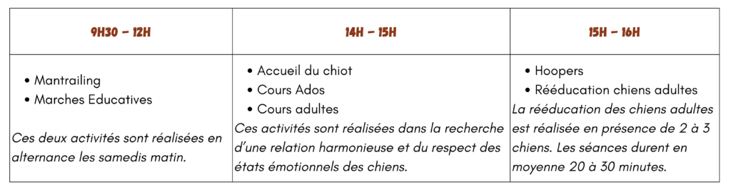 chiot, cours ados, adultes, mantrailing, rééducation, marches collectives